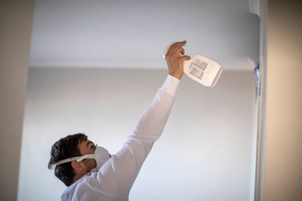 Best Home Mold Removal  in Belcourt, ND