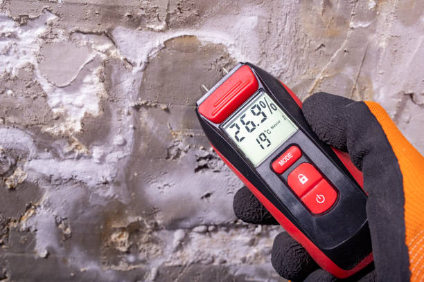 Best Mold Cleaning Services  in Belcourt, ND