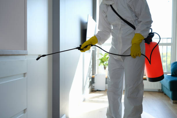 Best Professional Mold Removal  in Belcourt, ND